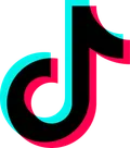 TikTok Conversions API logo